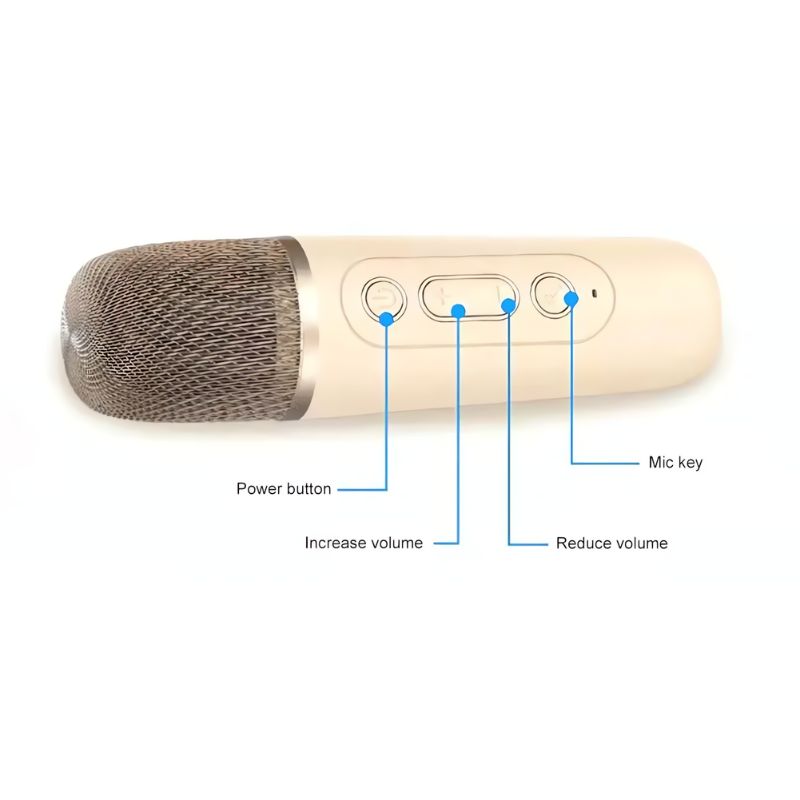 K12 Wireless Karaoke Bluetooth Speaker with Microphone - FREE COD