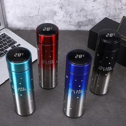 500ml Stainless Steel LED Temperature Bottle