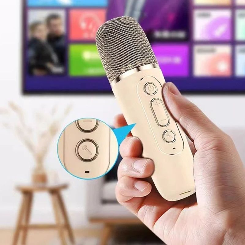 K12 Wireless Karaoke Bluetooth Speaker with Microphone - FREE COD